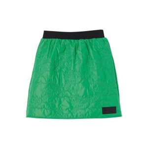 Spódnice Longchamp Other Zielone | 1762-QHWBV