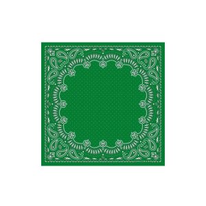 Szaliki Longchamp Scarf 50 Silk Zielone | 0851-TZSIP