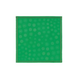 Szaliki Longchamp Shawl Bawełniane Zielone | 9067-COAXD
