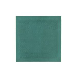 Szaliki Longchamp Shawl Other Szare Zielone | 3109-JFIZG