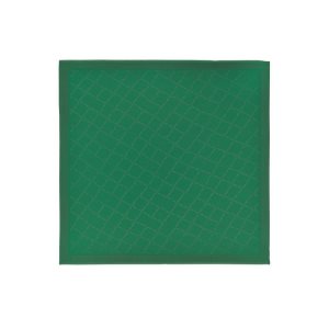 Szaliki Longchamp Shawl Silk Blend Zielone | 2976-CJPLM