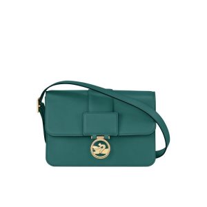 Torba Crossbody Longchamp M Skórzane Szare Zielone | 8174-DCMUE